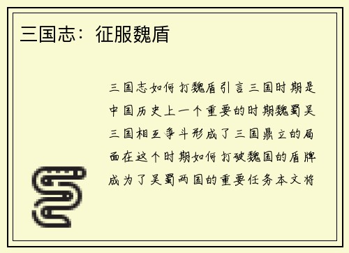 三国志：征服魏盾